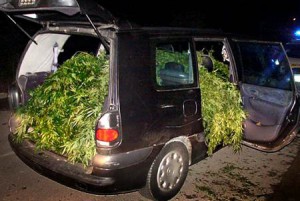 coche_cargado_marihuana.jpg